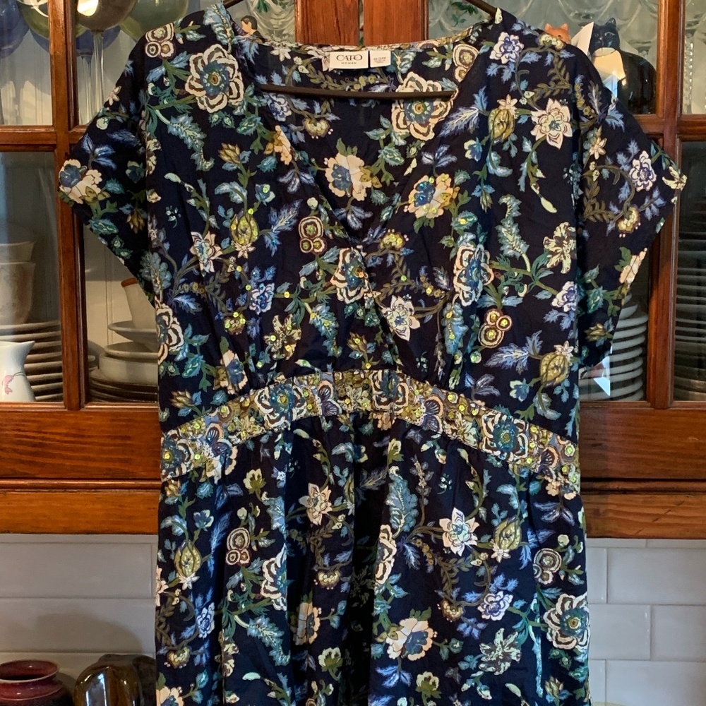 Cato Woman back tie sequin top. Worn about 3x